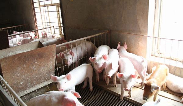 1666797286687939.jpg 001.jpg