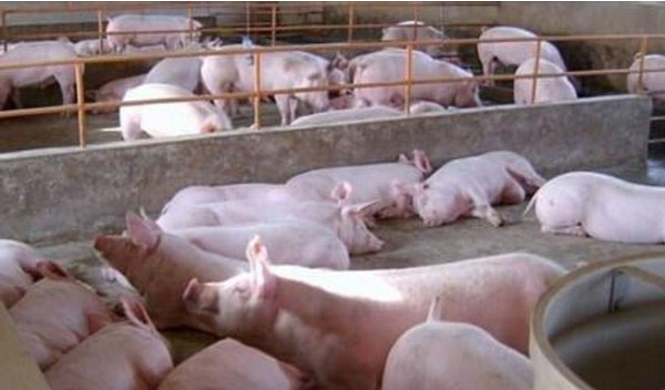 1666797295976560.jpg 002.jpg