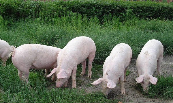 1666797302519010.jpg 003.jpg