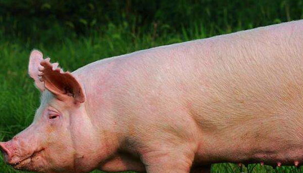 1666797696719136.jpg 001.jpg