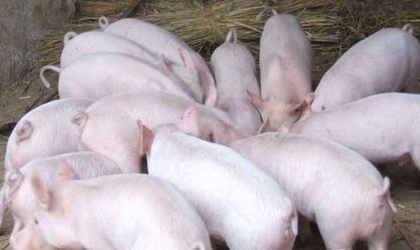 1666797705456908.jpg 002.jpg