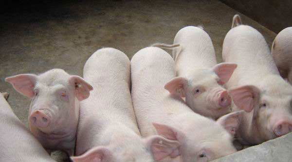 1666842390741647.jpg 002.jpg