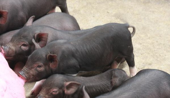 1666842419943687.jpg 001.jpg