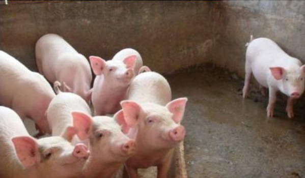 1666842437645202.jpg 003.jpg