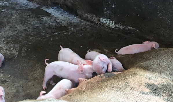 1666882031244450.jpg 001.jpg