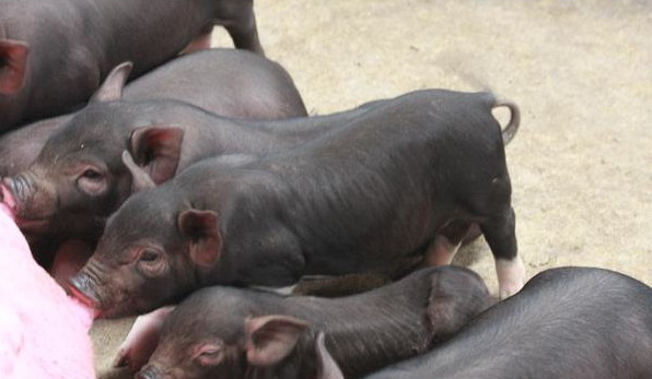 1666882036949088.jpg 002.jpg