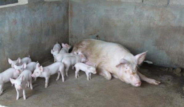 1666882043651475.jpg 003.jpg